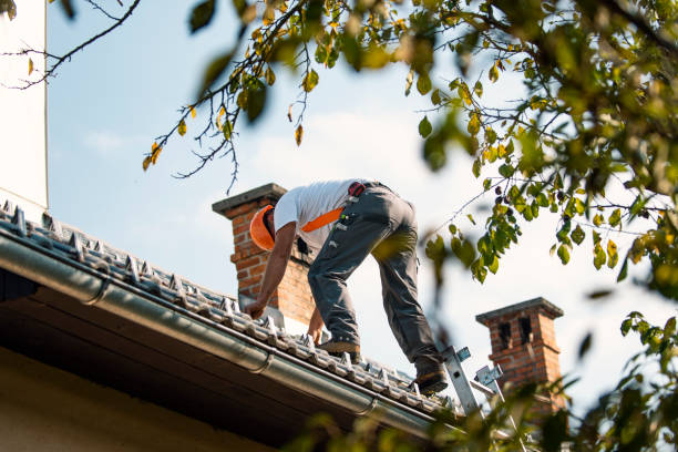 Best Roof Gutter Cleaning  in Fort Sumner, NM