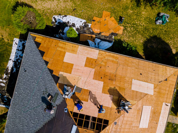 Best Roof Maintenance Services  in Fort Sumner, NM